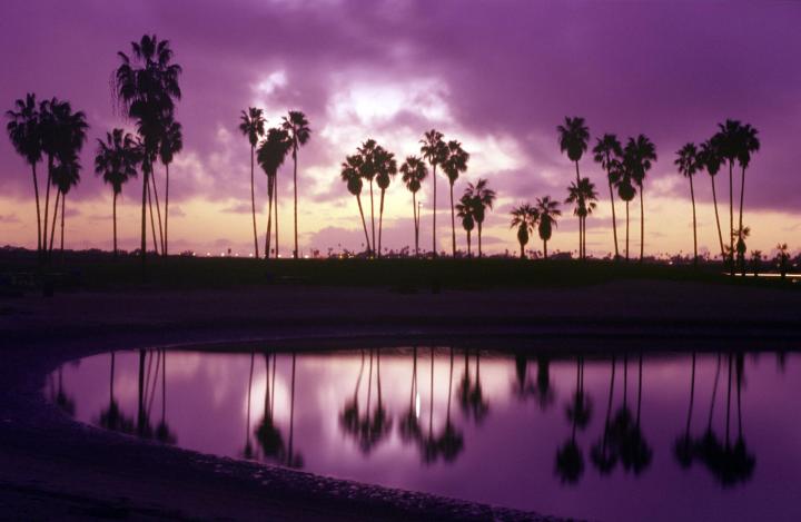 Test ALT image article