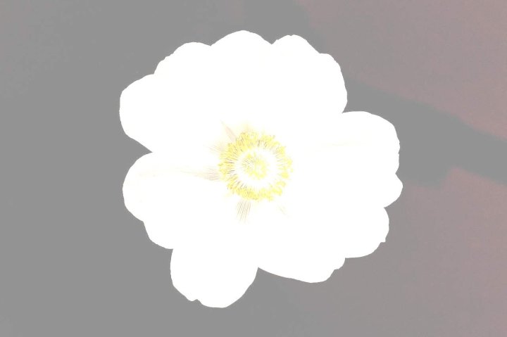 copyright 6079026 1280